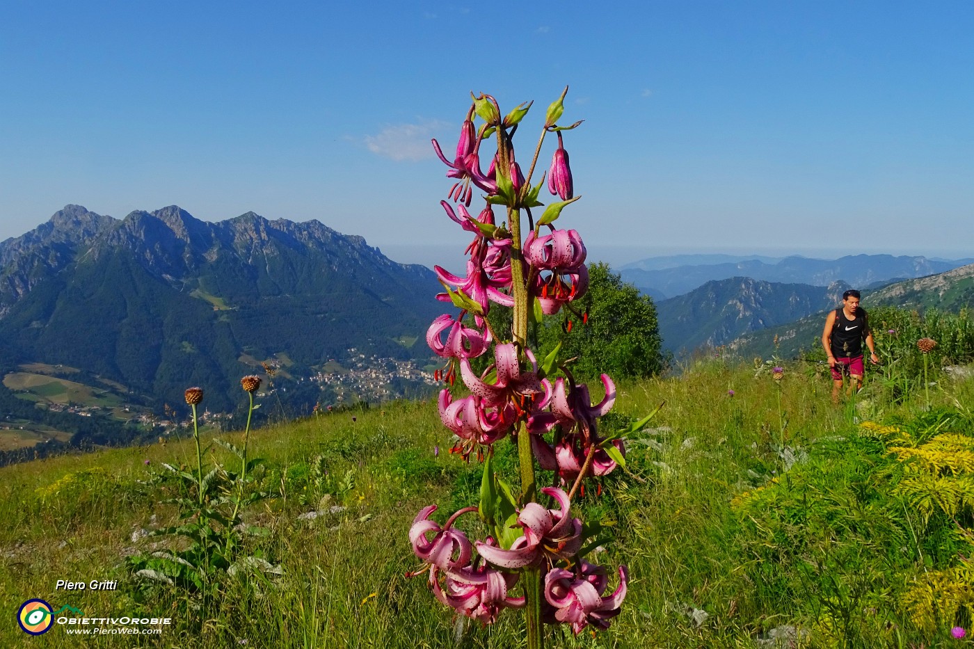 02 Lilium martagon (Giglio martagone) con vista in Alben.JPG